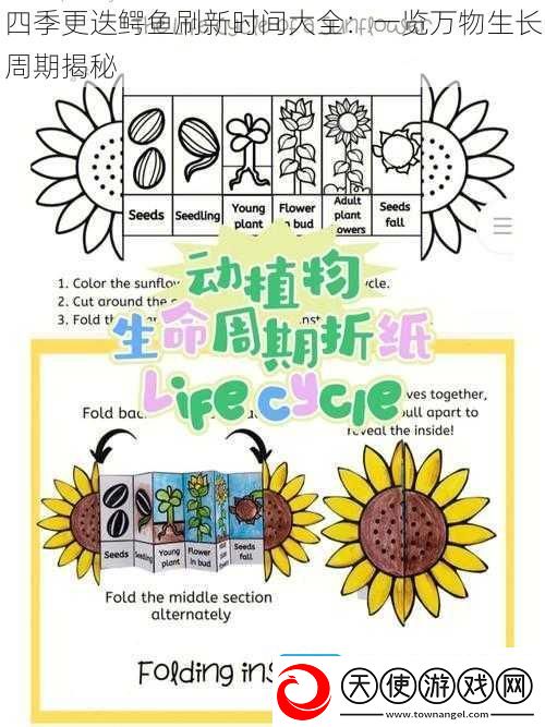 四季更迭鳄鱼刷新时间大全