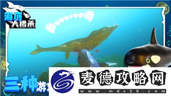 黑暗之魂2火把在哪里有卖的