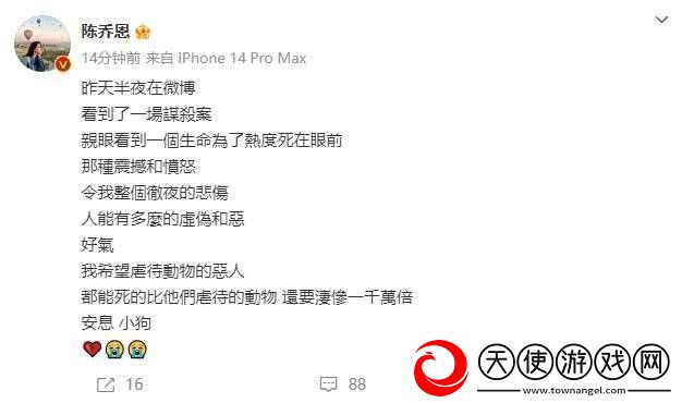 陈乔恩为红小狗艾特发声