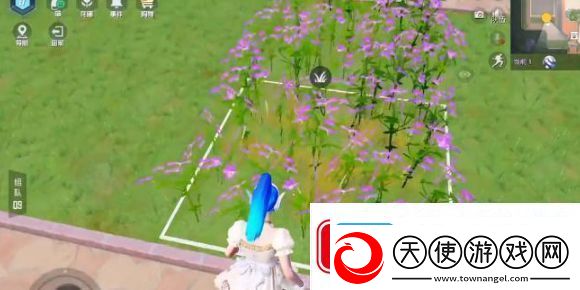 和平精英花圃种子在哪买的