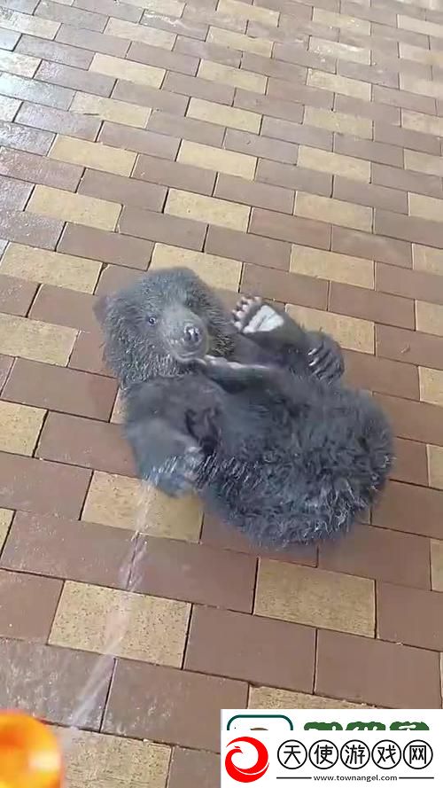 啊