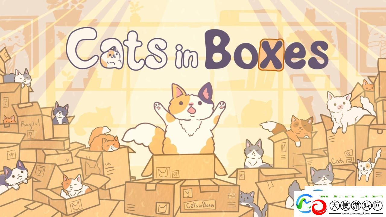 盒中猫丨Cats