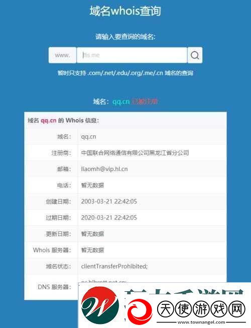 国外免费站域名服务器查询