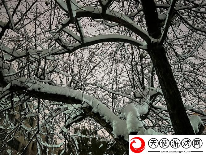 小雪爽⋯好大⋯快⋯深点