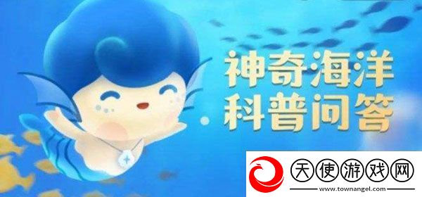 考考你