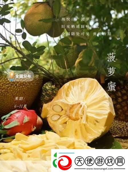 菠萝视频