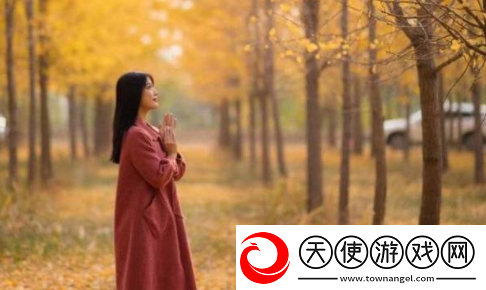 九一视频