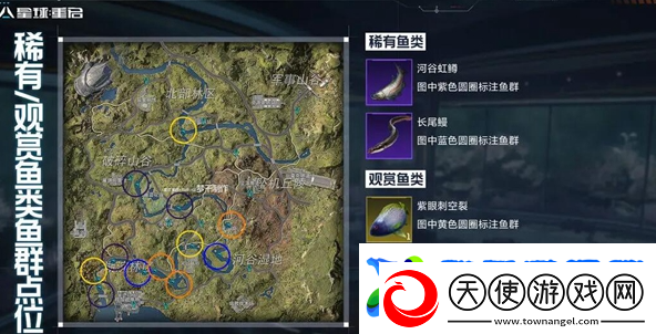 星球重启稀有鱼群怎么获得