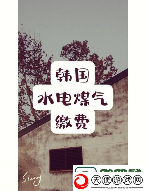 好看的韩国三色电费