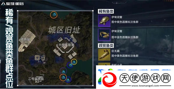 星球重启稀有鱼群怎么获得