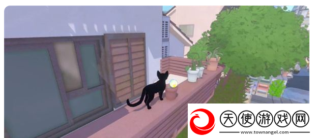 小猫咪大城市狗狗的球位置狗狗的球在哪七