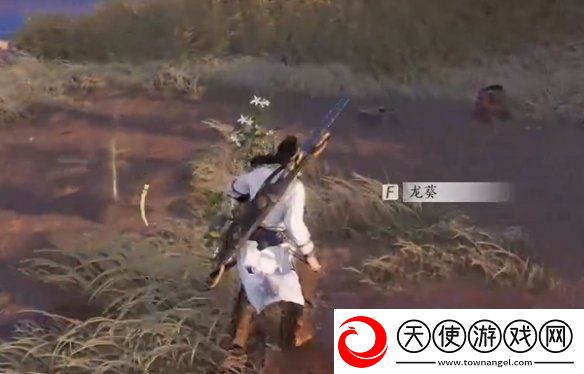 燕云十六声杏花不见怎么获得