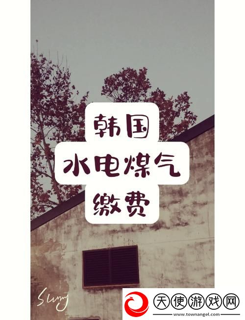 好看的韩国三色电费