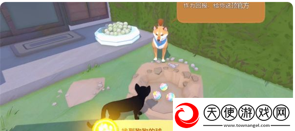 小猫咪大城市狗狗的球位置狗狗的球在哪七