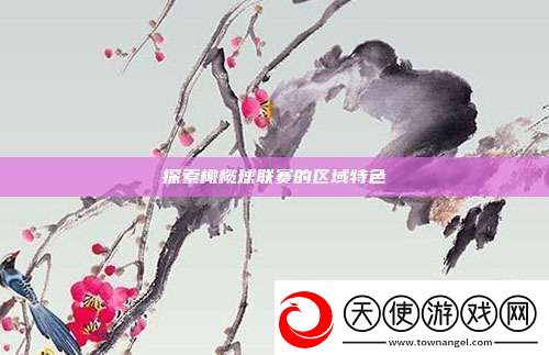 探索橄榄球联赛的区域特色