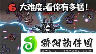 战国无双4道具的样式与玩家选择的多样性分析