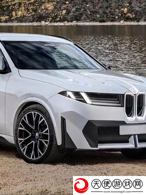 国产与进口x7x7x7槽