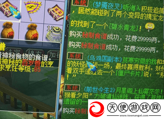 梦幻西游18门挂机回来多了两本高兽诀