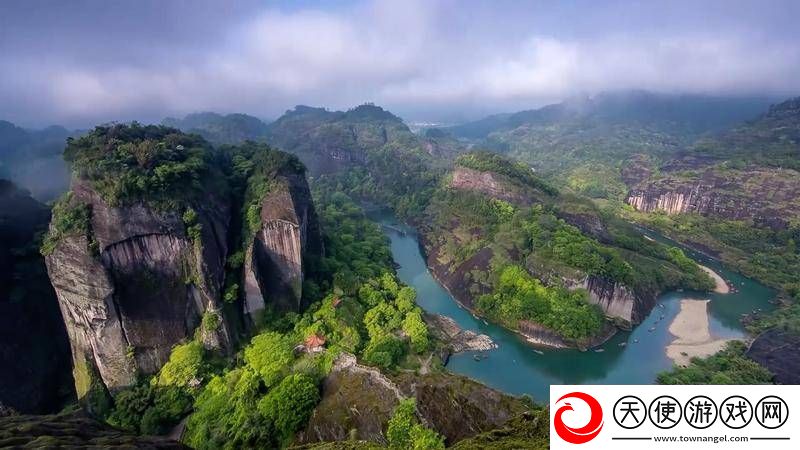 多地迎春消费热