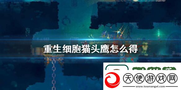重生细胞猫头鹰怎么得