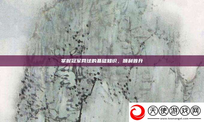 掌握冠军球的基础知识
