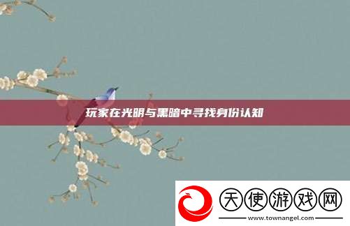 玩家在光明与黑暗中寻找身份认知