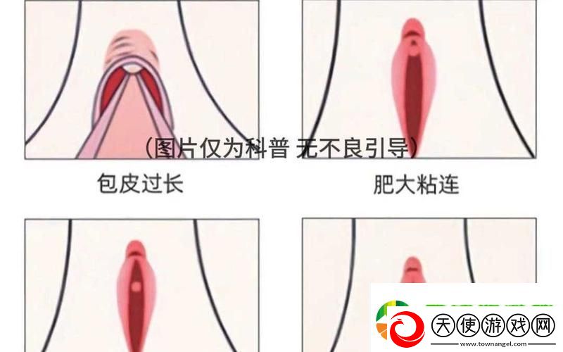 大荫蒂BBBBBB大荫蒂