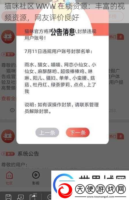 猫咪社区