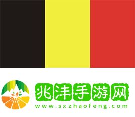 管理不善、CEO挪用资金