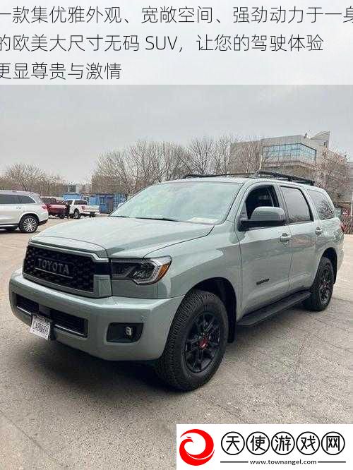 一款集优雅外观、宽敞空间、强劲动力于一身的欧美大尺寸**