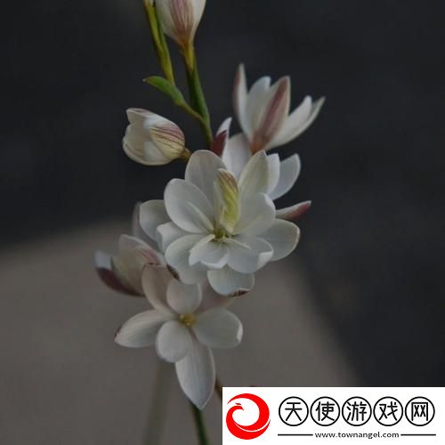 女子半夜莲花开是不是刚做过