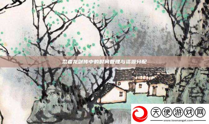 忍者龙剑传中的时间管理与资源分配