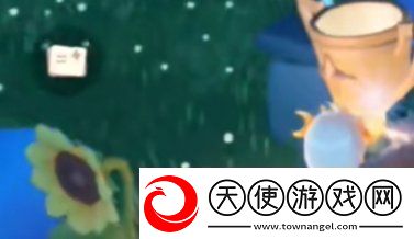 光遇运动会奖励兑换在什么位置