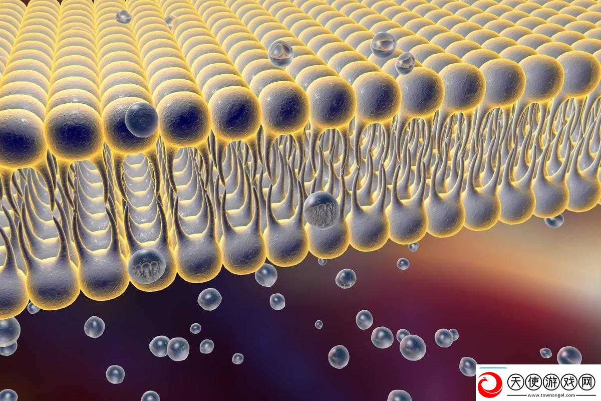 三叶草