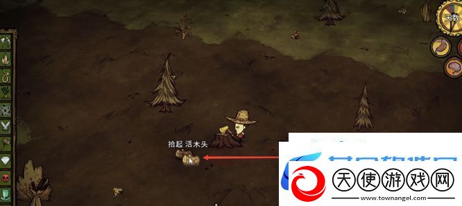 饥荒活木怎么获得