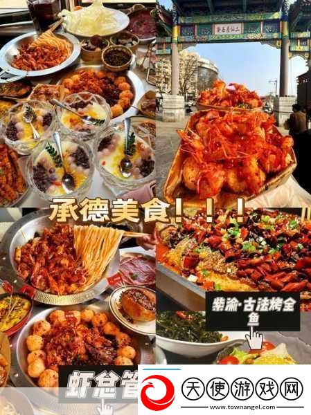 鸡宝厨房深度探索