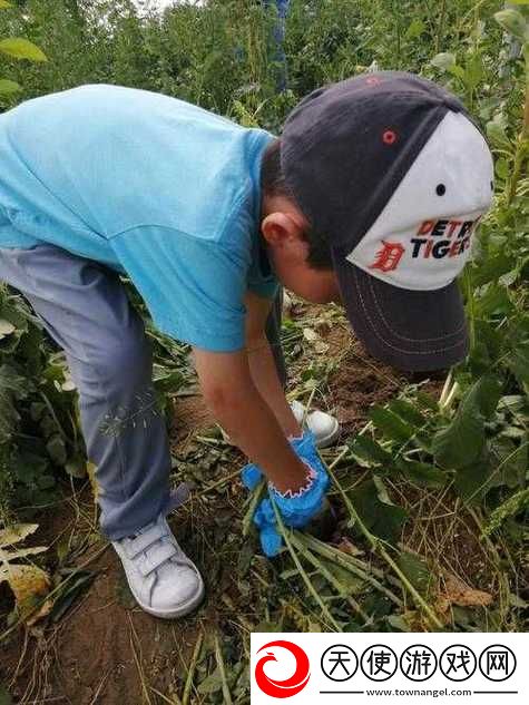 挤牛奶拔萝卜怎么拔