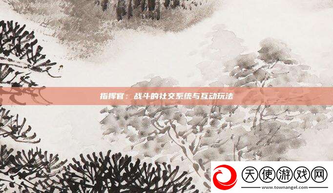 指挥官