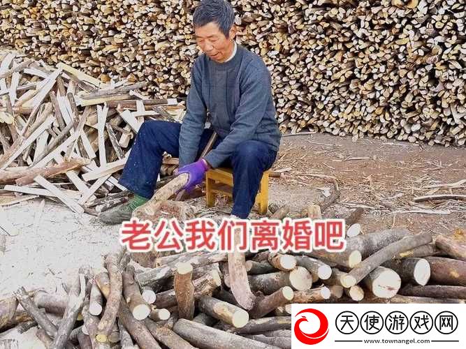 物业电工老赵与刘梦刘香的幕后故事