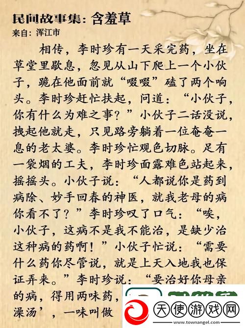 深入浅出含羞草免费观看电视剧的背景故事