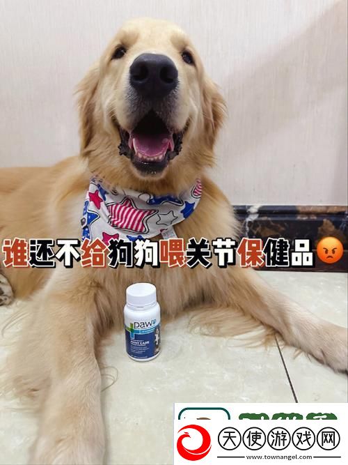 探索“人狗胶配方大全狗狗一”