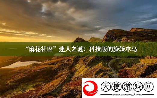 “麻花社区”迷人之谜