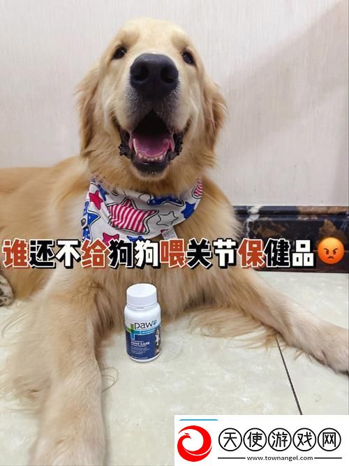 人狗胶配方大全狗狗一
