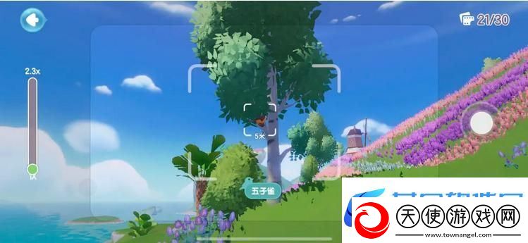 心动小镇鸟类观察图鉴大全