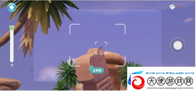 心动小镇鸟类观察图鉴大全