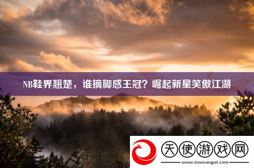 NB鞋界翘楚