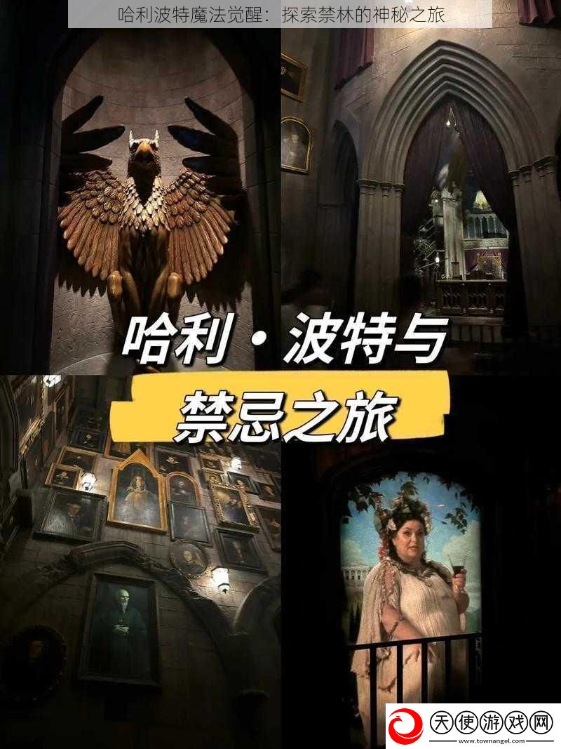 哈利波特魔法觉醒