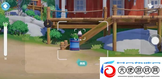 心动小镇鸟类观察图鉴大全