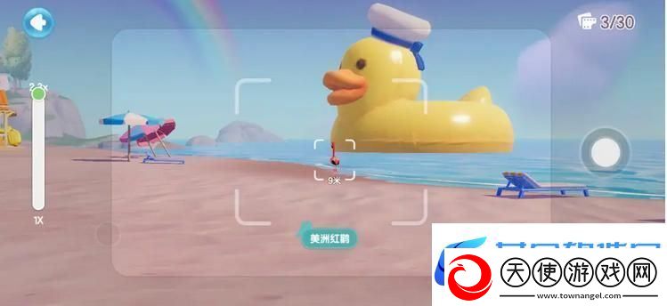 心动小镇鸟类观察图鉴大全