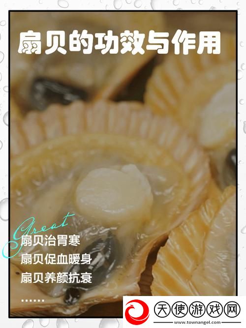 你的扇贝开了